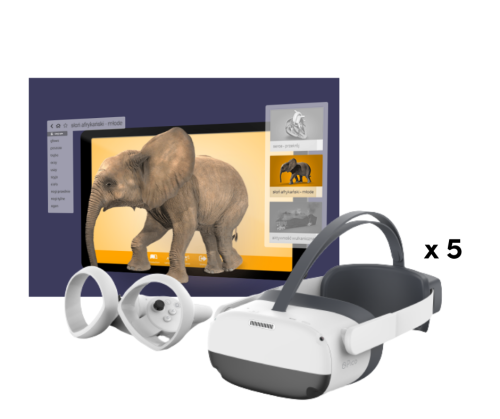 Zestaw VR Pico Neo3 Pro Arbor XR dla 5 użytkowników