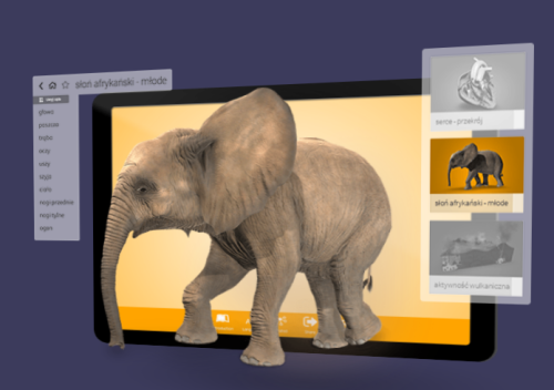 Zestaw VR Pico Neo3 Pro Arbor XR dla 5 użytkowników
