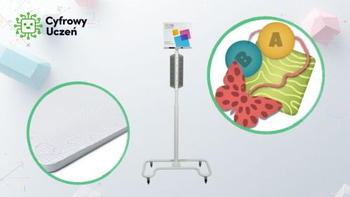 Zestaw 1 (W) -  Aktywna przestrzeń ruchowa